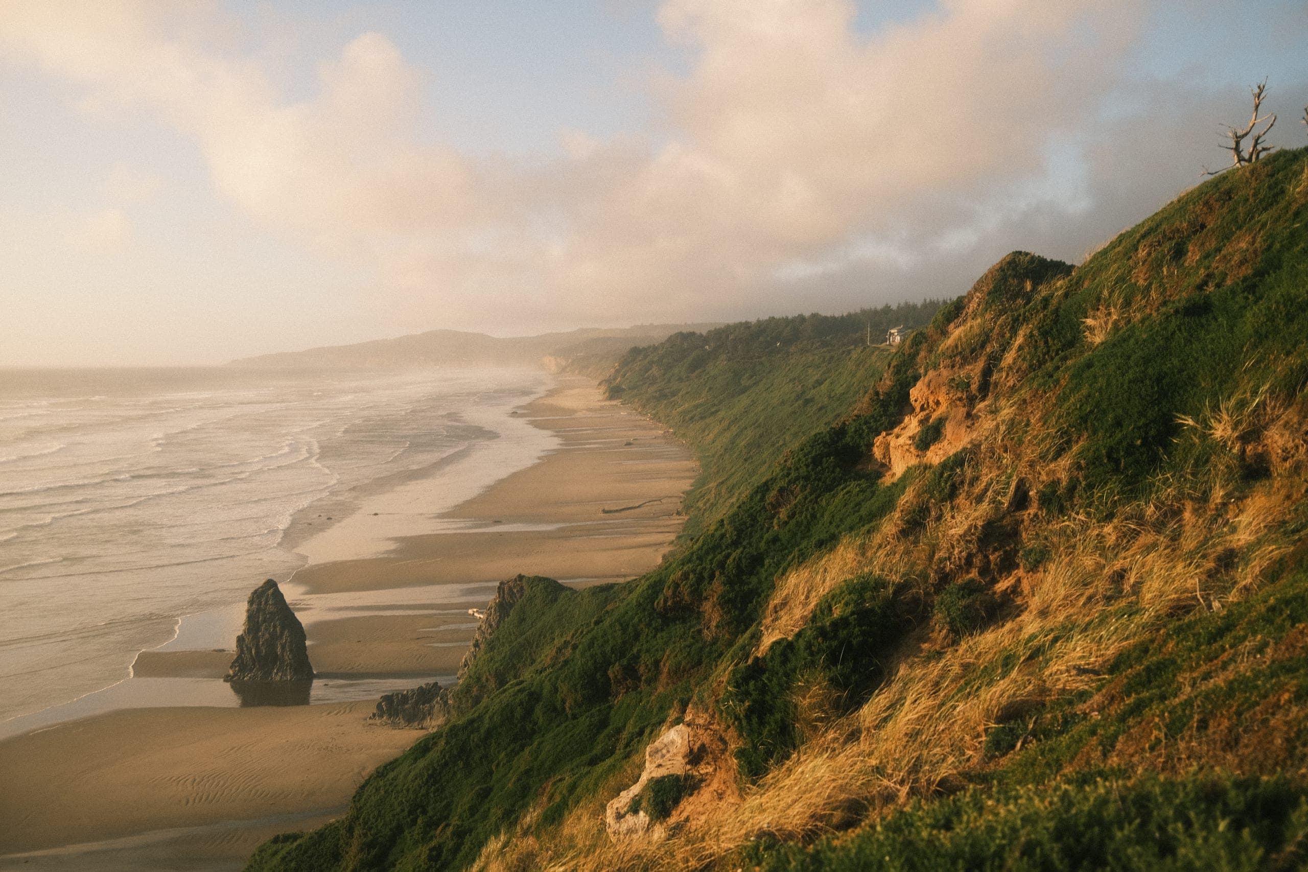 A green headland dropping to a long beach and a sea stack in evening light.